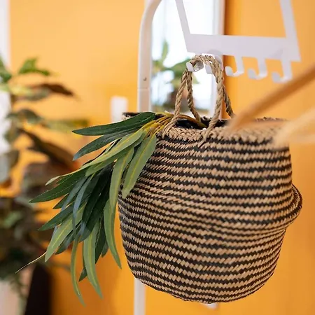 Franklin - Hyper Centre * Mulhouse