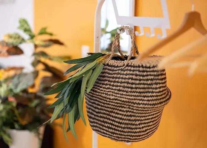 Franklin - Hyper Centre * 뮐루즈